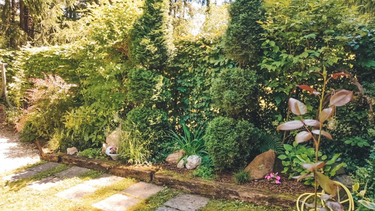 Villa-Apartments Bognar Velika エクステリア 写真