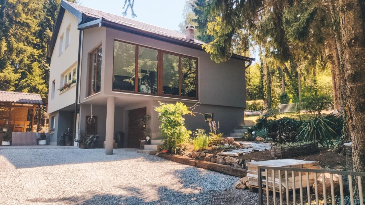 Villa-Apartments Bognar Velika エクステリア 写真
