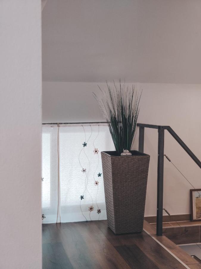 Villa-Apartments Bognar Velika エクステリア 写真