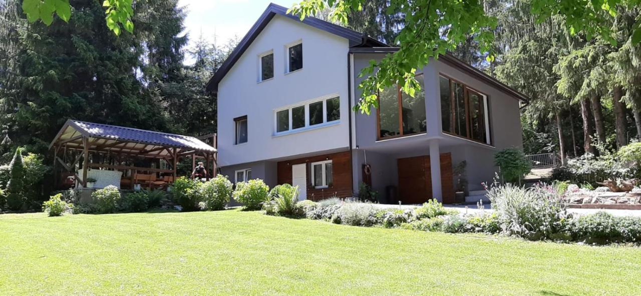 Villa-Apartments Bognar Velika エクステリア 写真